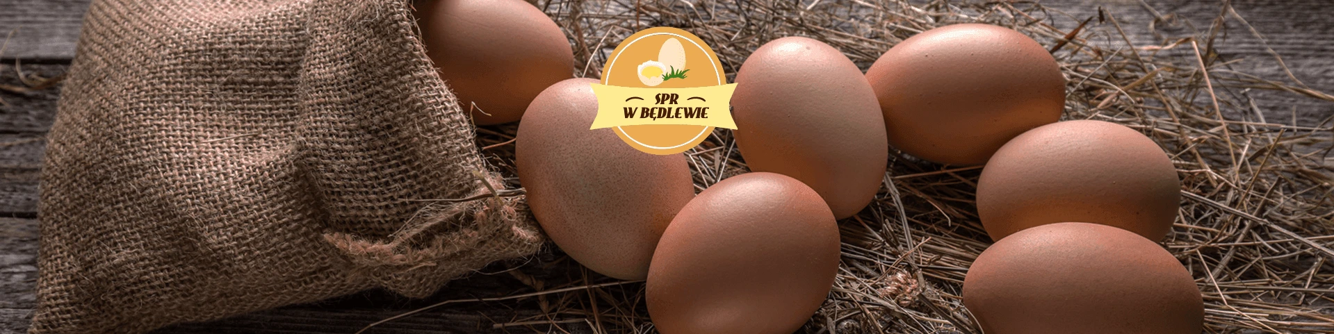 Jajka na dłoni, w koszyku wiklinowym oraz kura